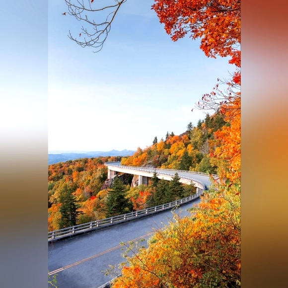 🌿 Meet Me  🌿 - Picture 9 of 16